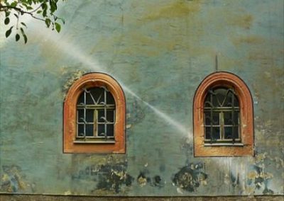 Why Opt for Professional Services in Software Implementation