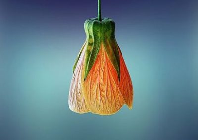 Motivating Your SMEs to Meet Deadlines