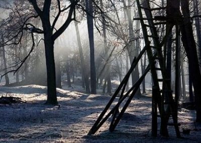 Microsoft Word Running Slow? Is It Lagging? Try This!