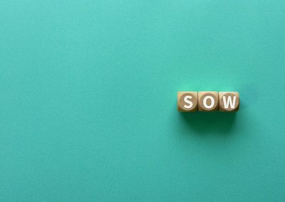 SOW Meaning in Business: Why Statements of Work Matter