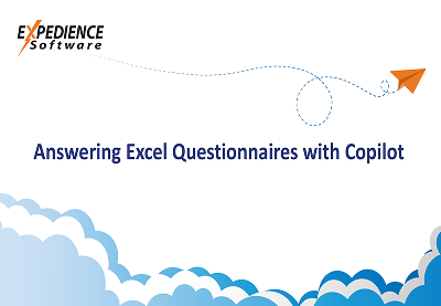 Copilot Excel Questionnaire